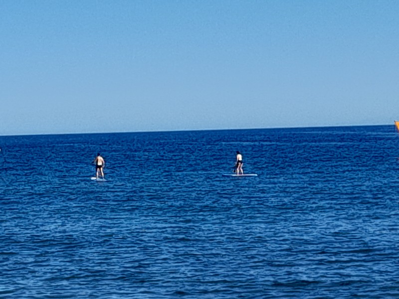 Surfing El Médano