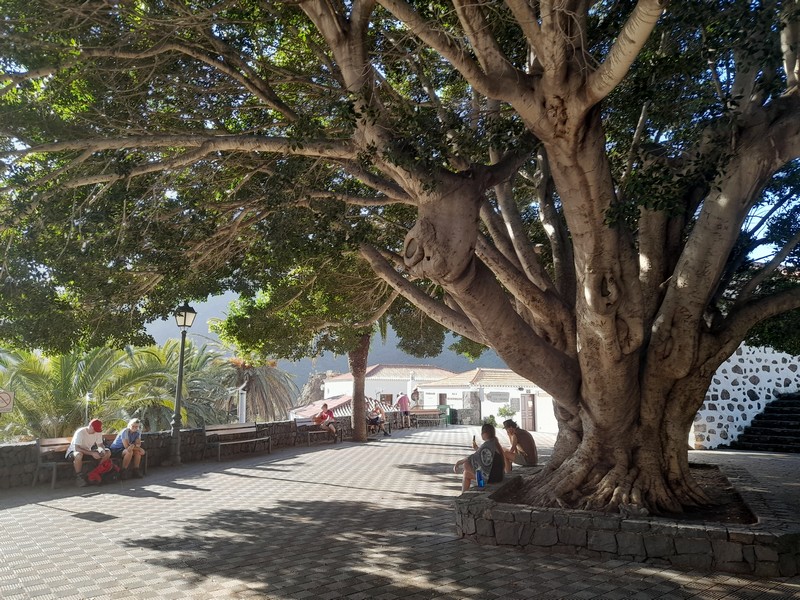 Masca